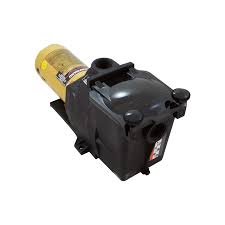 BOMBA 1 HP 220V-230V SUPER PUMP HAYWARD